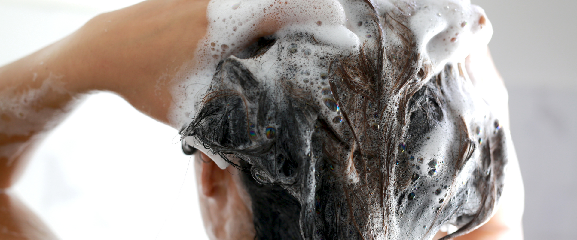 Shampoo
