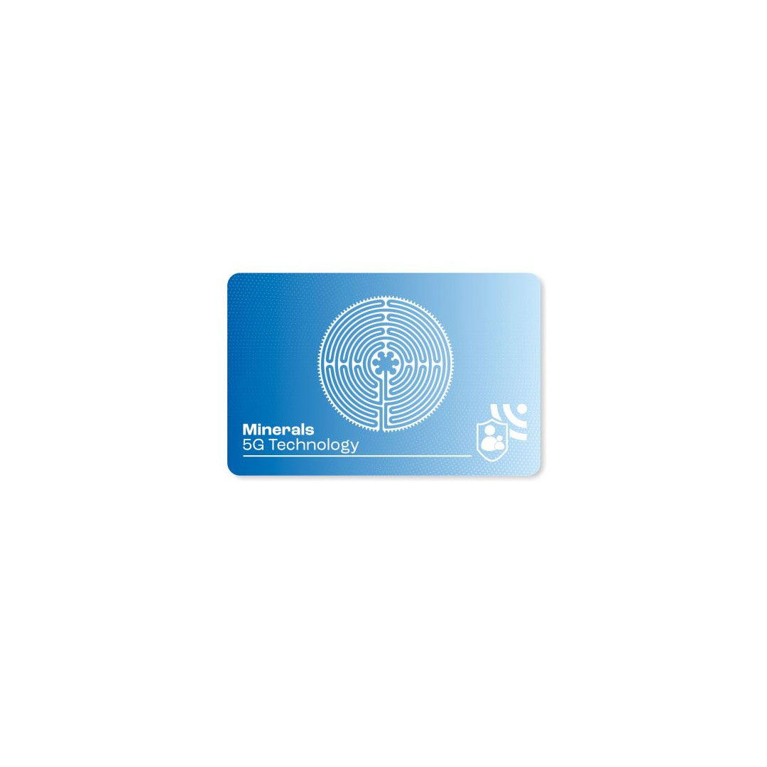rayguarg-5g-2.jpg
