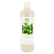 sacha-inchi-_l-350-ml-keramikflasche.jpg